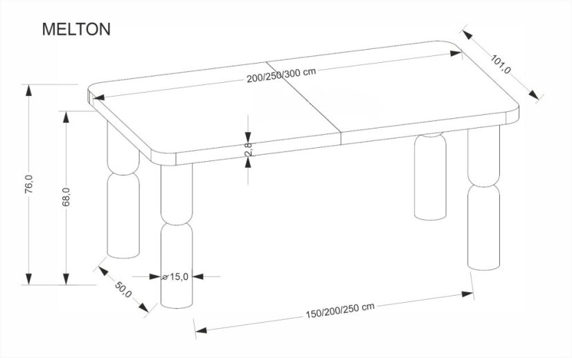 Rozkládací jídelní stůl MELTON 200(300)x101 světlý ořech