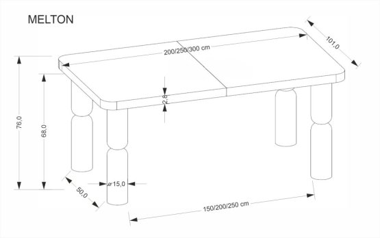 Rozkladací jedálenský stôl MELTON 200(300)x101 svetlý orech